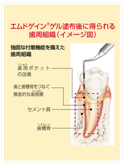 定期的な受診について